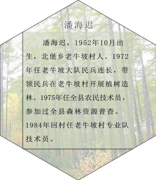 清水河县林业发展历程和变迁，长沙林业发展前景-第38张