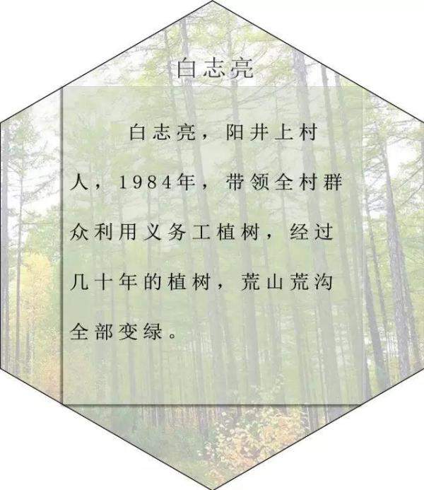 清水河县林业发展历程和变迁，长沙林业发展前景-第48张