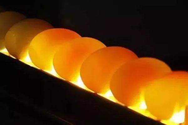 卵磷脂是鸡蛋的6倍（大豆卵磷脂的吃法）-第10张