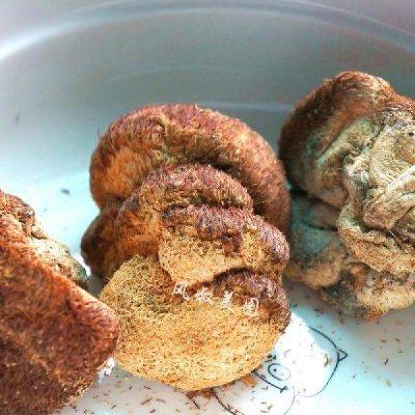 养胃又美味的猴头菇饼干，蘑菇头蛋糕的家常做法-第2张