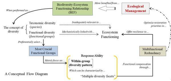 研究揭示荒漠蓝藻对生态系统多功能性的差异化影响过程（蓝藻人造生态系统）-第2张