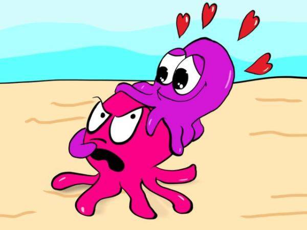 章鱼如何做爱（喜欢章鱼怎么办）-第11张