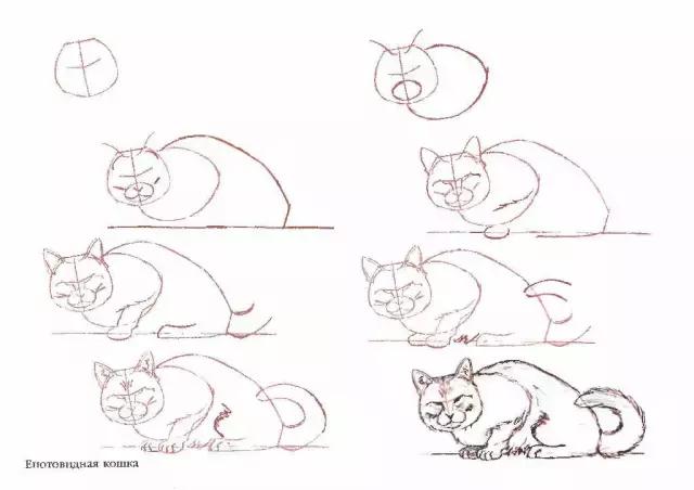 简笔画50种猫咪画法（猫咪简笔画100种画法）-第36张