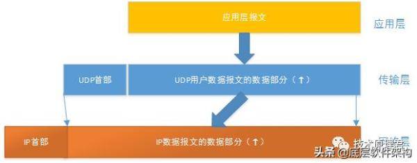 5分钟搞懂UDP协议图文详解（udp需要使用什么协议）-第2张
