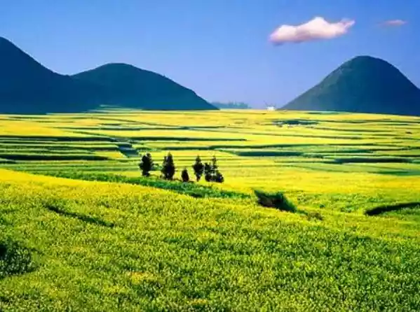 云南省一个县人口超60万，云南的县人口排名-第3张