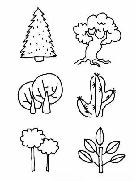 画植物的100种方法（怎样画花草植物简笔画）-第1张
