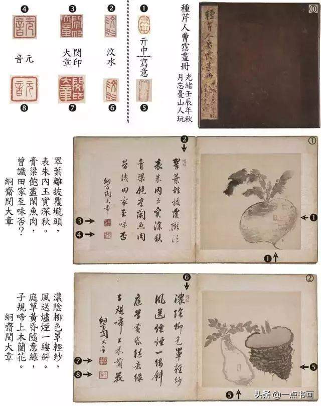 典藏曹雪芹唯一存世的画册惊现（曹雪芹十大经典书）-第4张