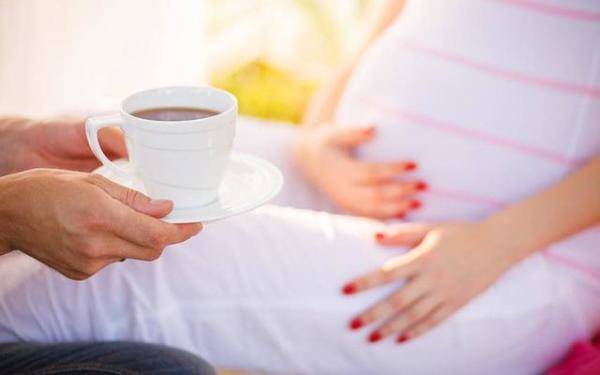 孕妇可以喝茶喝花草茶吗（怀孕初期可以喝花茶的茶叶水吗）-第1张