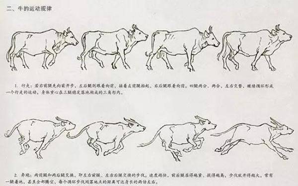 牛的画法一学就会，牛的画法最简单-第3张