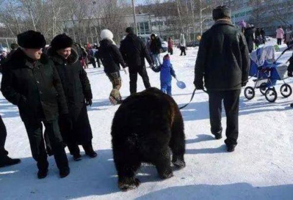 68岁普京冰窟洗礼，俄国人对普京的态度-第10张