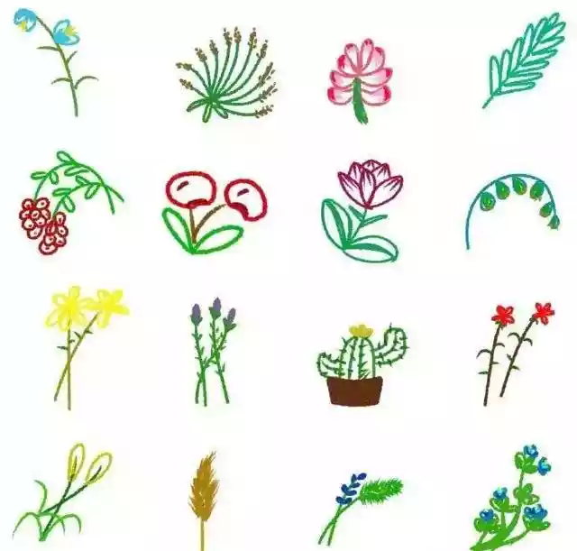 画植物的100种方法（怎样画花草植物简笔画）-第14张