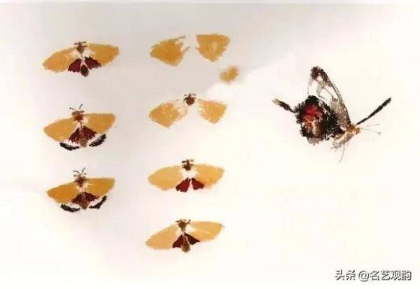 国画技法萧朗先生教你画蜂蝶，国画蜜蜂的最简单的画法-第16张