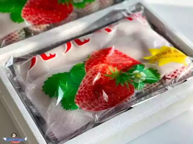 最想吃一盒香甜可人的丹东红颜九九草莓（正宗的丹东九九草莓）-第20张