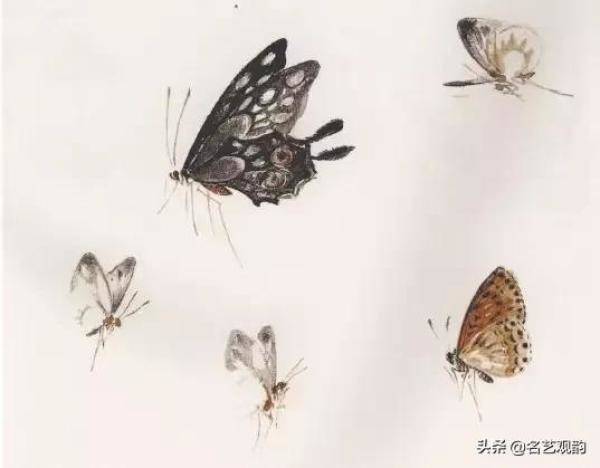 国画技法萧朗先生教你画蜂蝶，国画蜜蜂的最简单的画法-第18张