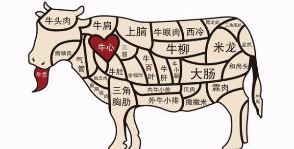 牛肉怎么选怎么吃，如何正确选择牛肉-第1张