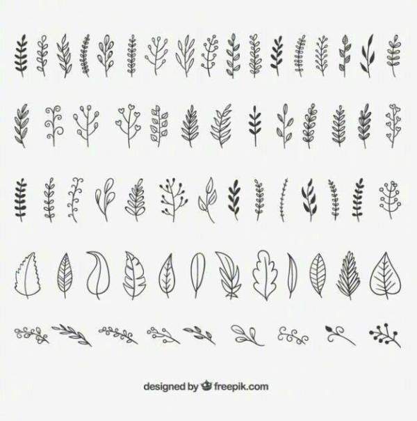 上百种植物花草简笔画素材（各种花草简笔画）-第8张