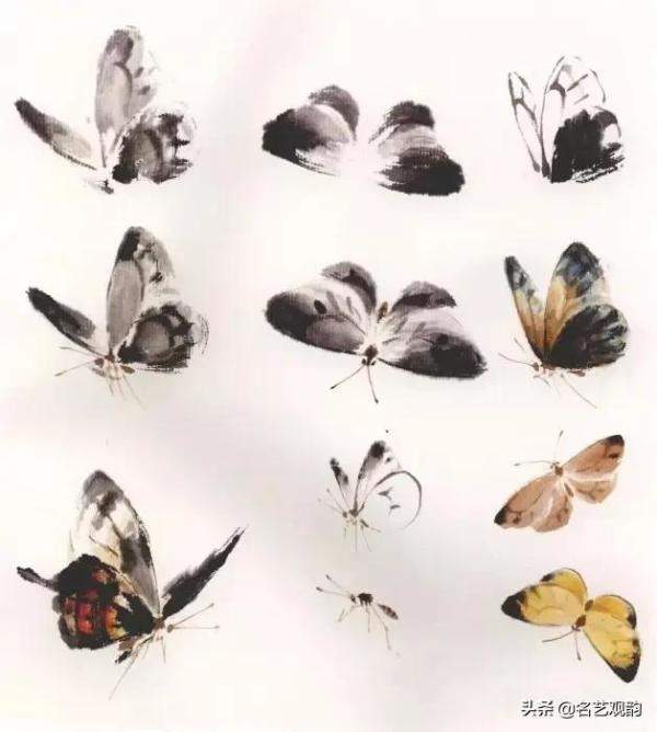 国画技法萧朗先生教你画蜂蝶，国画蜜蜂的最简单的画法-第19张