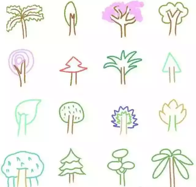 画植物的100种方法（怎样画花草植物简笔画）-第11张