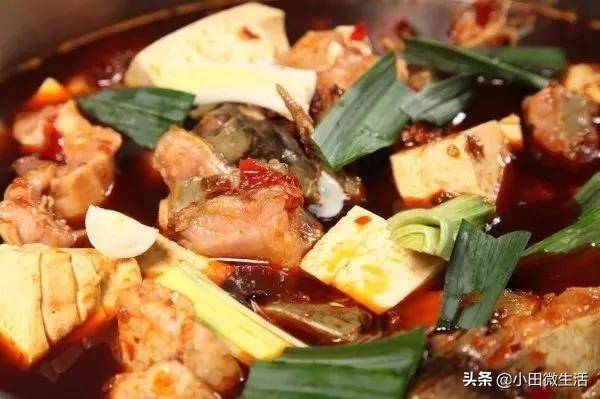 贵州特色美食乌江豆腐鱼，贵州遵义乌江豆腐鱼-第1张