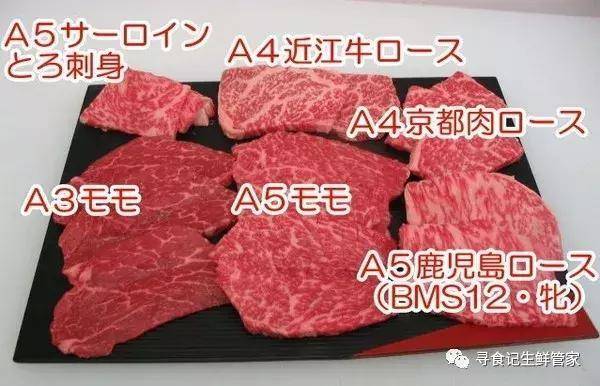 带你秒懂各国牛肉分级标准，各国牛肉分级标准-第10张