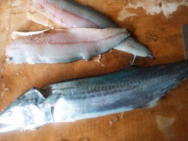 海边这8种海鱼便宜又好吃，有哪种海鱼比较适合吃的-第2张