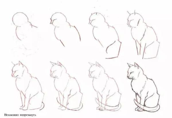 简笔画50种猫咪画法（猫咪简笔画100种画法）-第13张