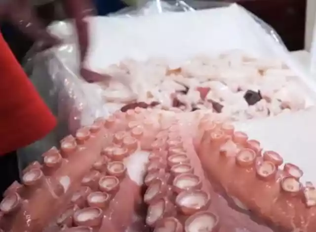 顶级厨师处理巨型大章鱼（世界上最大的章鱼吃法）-第5张