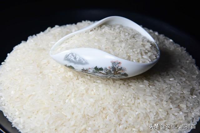 东北最好吃的大米只有五常（五种公认好吃的东北大米）-第3张