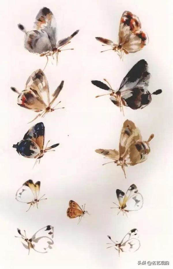 国画技法萧朗先生教你画蜂蝶，国画蜜蜂的最简单的画法-第14张