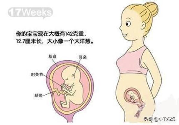 准妈妈怀孕每个月应注意什么（孕妇怀孕需要注意的地方）-第5张