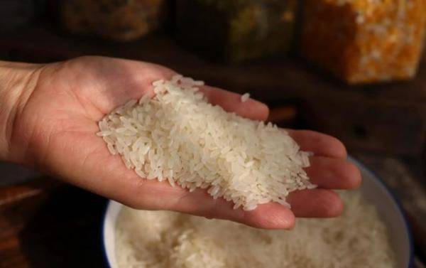 全国哪种大米最好吃，全国十大最好吃的大米排行榜-第10张