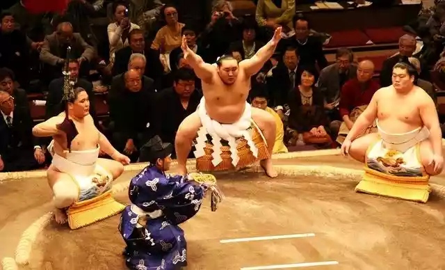 很多日本女人梦想嫁相扑选手（日本女生眼中的相扑运动员）-第2张