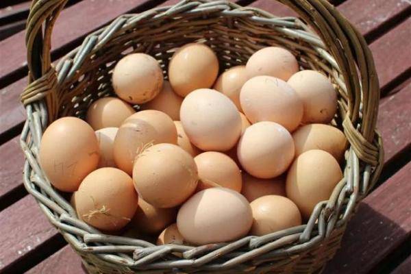 鸡蛋和虾仁是绝配，儿童营养早餐虾仁鸡蛋-第1张