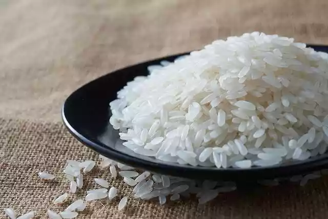 原来大米需要换着吃（大米的最佳食用时间）-第3张