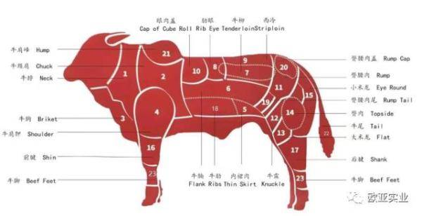 欧亚商贸-巴西牛肉图解科普，巴西牛肉简介-第1张