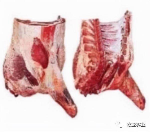 欧亚商贸-巴西牛肉图解科普，巴西牛肉简介-第8张