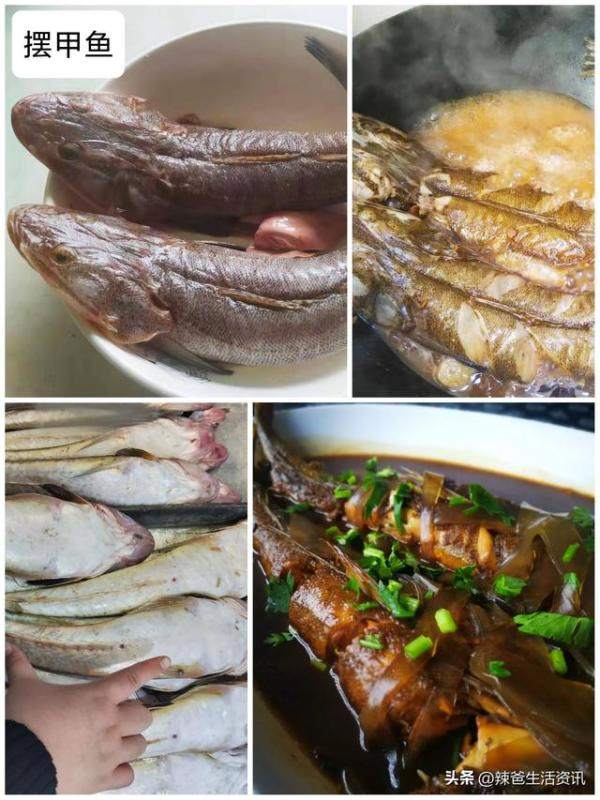 40种好吃不贵的野生海鱼，常见好吃的海鱼排行-第6张