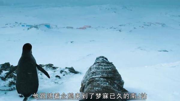 一男一女被困南极75天，一男二女流落南极的电影-第15张