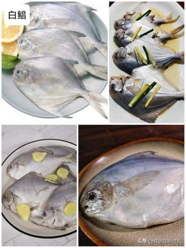 40种好吃不贵的野生海鱼，常见好吃的海鱼排行-第7张