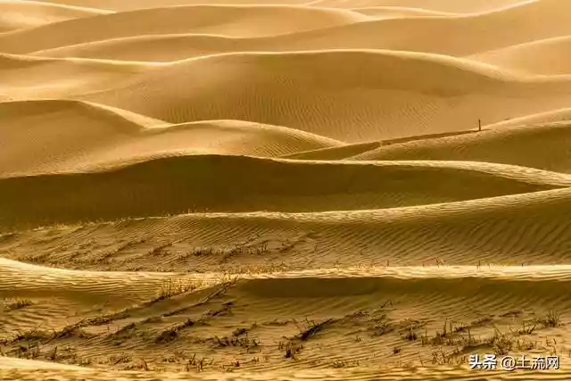 塔克拉玛干沙漠在哪里（塔克拉玛干沙漠爆发洪水是真的吗）-第1张
