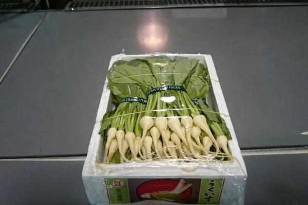 10种日本的奇葩蔬菜（日本三种蔬菜）-第7张