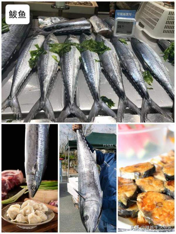 40种好吃不贵的野生海鱼，常见好吃的海鱼排行-第2张