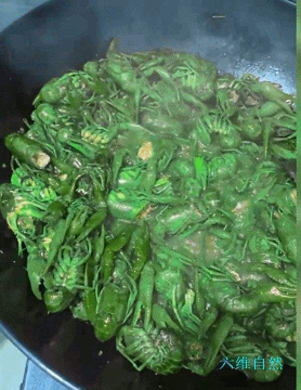 深圳一网友炒出绿色的小龙虾，没有炒熟的小龙虾能吃吗-第2张