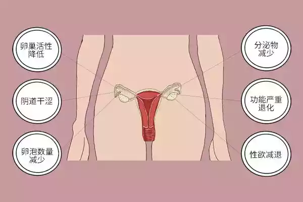 豆浆是子宫肌瘤（有子宫肌瘤可以经常喝豆浆么）-第2张