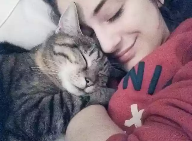 猫咪喜欢和人一起睡觉（猫咪为啥想和人一起睡觉）-第2张