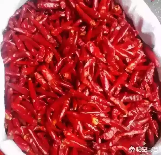 常用辣椒的辨识让你在家当大厨，如何挑选辣味强的干辣椒-第4张