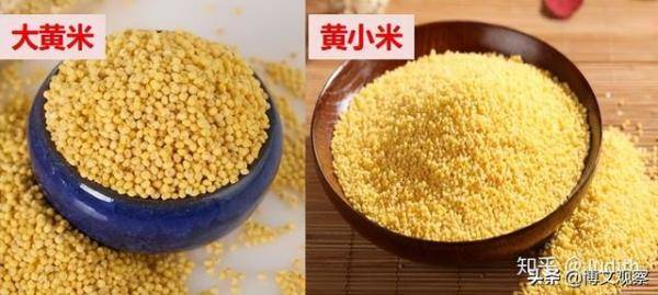 哪个地方生产的大黄米最好吃，什么地方大黄米好吃-第1张