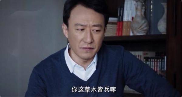 王志文新剧首播差评一片，为什么王志文电视剧质量高-第4张