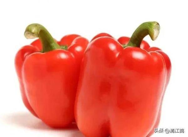 2023年新款网红辣椒品种，最受欢迎的辣椒品种-第9张