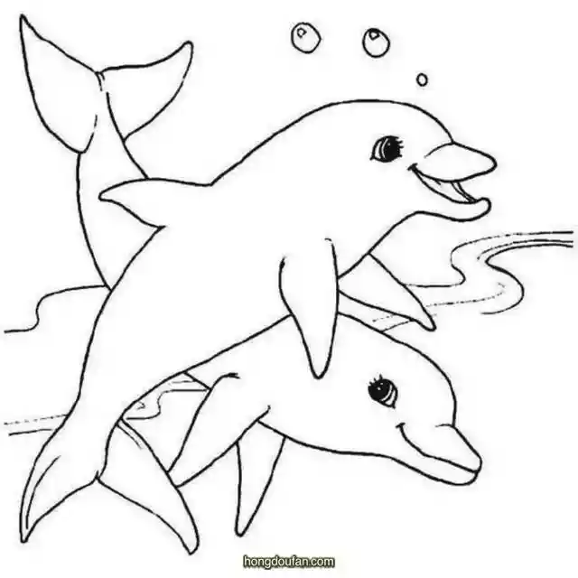 10张自由的海豚卡通儿童简笔画（少年儿童简笔画海豚）-第7张